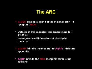 The ARC
∀ α -MSH acts as a ligand at the melanocortin - 4
  receptor ( MC4 )

• Defects of this receptor: implicated in up to 4-
  6% of all
  monogenetic childhood onset obesity in
  humans

∀ α -MSH inhibits the receptor to AgRP: inhibiting
  appeptite

• AgRP inhibits the MC4 receptor: stimulating
  appetite
 