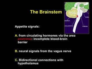 The Brainstem


Appetite signals:

A. from circulating hormones via the area
  postrema: incomplete blood-brain
  barrier

B. neural signals from the vagus nerve

C. Bidirectional connections with
  hypothalamus
 