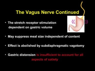 The Vagus Nerve Continued

• The stretch receptor stimulation
  dependent on gastric volume

• May suppress meal size independent of content

• Effect is abolished by subdiaphragmatic vagotomy

• Gastric distension is insufficient to account for all
                  aspects of satiety
 