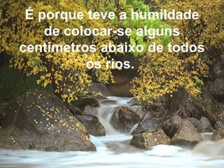 É porque teve a humildade de colocar-se alguns centímetros abaixo de todos os rios.   
