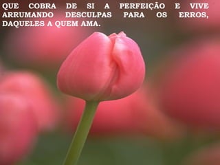 QUE COBRA DE SI A PERFEIÇÃO E VIVE ARRUMANDO DESCULPAS PARA OS ERROS, DAQUELES A QUEM AMA. 