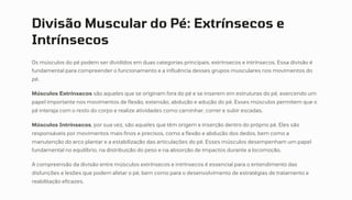 Divisão Muscular do Pé: Extrínsecos e
Intrínsecos
Os músculos do pé podem ser divididos em duas categorias principais: extrínsecos e intrínsecos. Essa divisão é
fundamental para compreender o funcionamento e a influência desses grupos musculares nos movimentos do
pé.
Músculos Extrínsecos são aqueles que se originam fora do pé e se inserem em estruturas do pé, exercendo um
papel importante nos movimentos de flexão, extensão, abdução e adução do pé. Esses músculos permitem que o
pé interaja com o resto do corpo e realize atividades como caminhar, correr e subir escadas.
Músculos Intrínsecos, por sua vez, são aqueles que têm origem e inserção dentro do próprio pé. Eles são
responsáveis por movimentos mais finos e precisos, como a flexão e abdução dos dedos, bem como a
manutenção do arco plantar e a estabilização das articulações do pé. Esses músculos desempenham um papel
fundamental no equilíbrio, na distribuição do peso e na absorção de impactos durante a locomoção.
A compreensão da divisão entre músculos extrínsecos e intrínsecos é essencial para o entendimento das
disfunções e lesões que podem afetar o pé, bem como para o desenvolvimento de estratégias de tratamento e
reabilitação eficazes.
 