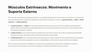 Músculos Extrínsecos: Movimento e
Suporte Externo
Os músculos extrínsecos do pé desempenham um papel fundamental no movimento do tornozelo e no suporte da
estrutura do pé. Esses músculos, localizados na parte externa da perna, incluem o gastrocnêmio, o sóleo, o tibial
anterior e o tibial posterior.
O gastrocnêmio e o sóleo são músculos posteriores da perna que se inserem no calcâneo pelo tendão de
Aquiles. Eles são responsáveis pela flexão plantar do tornozelo, permitindo movimentos como a flexão do pé e
o impulsionar durante a marcha.
1.
O tibial anterior é um músculo anterior da perna que se insere no dorso do pé. Ele é responsável pela flexão
dorsal do tornozelo, elevando a parte frontal do pé durante a caminhada.
2.
O tibial posterior é um músculo posterior da perna que se insere na parte interna do pé. Ele atua na inversão e
suporte do arco plantar, ajudando a manter a estabilidade e o alinhamento do pé durante as atividades.
3.
Esses músculos extrínsecos trabalham em conjunto para proporcionar movimento, equilíbrio e suporte à
estrutura do pé, permitindo uma marcha saudável e uma boa distribuição do peso corporal.
 