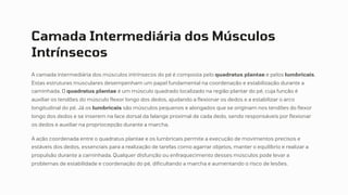 Camada Intermediária dos Músculos
Intrínsecos
A camada intermediária dos músculos intrínsecos do pé é composta pelo quadratus plantae e pelos lumbricais.
Estas estruturas musculares desempenham um papel fundamental na coordenação e estabilização durante a
caminhada. O quadratus plantae é um músculo quadrado localizado na região plantar do pé, cuja função é
auxiliar os tendões do músculo flexor longo dos dedos, ajudando a flexionar os dedos e a estabilizar o arco
longitudinal do pé. Já os lumbricais são músculos pequenos e alongados que se originam nos tendões do flexor
longo dos dedos e se inserem na face dorsal da falange proximal de cada dedo, sendo responsáveis por flexionar
os dedos e auxiliar na propriocepção durante a marcha.
A ação coordenada entre o quadratus plantae e os lumbricais permite a execução de movimentos precisos e
estáveis dos dedos, essenciais para a realização de tarefas como agarrar objetos, manter o equilíbrio e realizar a
propulsão durante a caminhada. Qualquer disfunção ou enfraquecimento desses músculos pode levar a
problemas de estabilidade e coordenação do pé, dificultando a marcha e aumentando o risco de lesões.
 