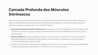 Camada Profunda dos Músculos
Intrínsecos
Além dos músculos da camada intermediária, a camada profunda dos músculos intrínsecos desempenha um
papel fundamental na precisão e equilíbrio dos movimentos do pé. Destacam-se nesta camada os músculos
interósseos plantares e dorsais, bem como o adductor hallucis.
Músculos Interósseos Plantares e Dorsais: Esses pequenos músculos localizados entre os metatarsos têm
a função de aproximar ou afastar os dedos, conferindo maior controle e estabilidade aos movimentos finos e
sutis do antepé.
1.
Adductor Hallucis: Situado na região lateral do pé, este músculo tem a importante função de aproximar o
hálux (dedo grande) em relação aos outros dedos, contribuindo para a estabilidade e equilíbrio durante a
marcha e atividades que exigem precisão.
2.
Juntos, os músculos da camada profunda trabalham em sincronia com os músculos da camada intermediária
e superficial, garantindo a coordenação e o controle fino dos movimentos do pé.
3.
 