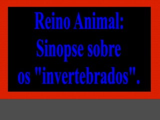 Prof. Albano Novaes - Reino   1
           Animal
 