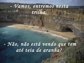 - Vamos, entremos nesta trilha. - Não, não está vendo que tem até teia de aranha?   