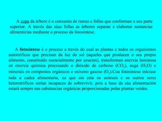 A  copa  da árbore é o conxunto de ramas e follas que conforman o seu parte superior. A través das súas follas as árbores separan e elaboran sustancias alimenticias mediante o proceso da fotosíntese.  A  fotosíntese  é o proceso a través do cual as plantas e todos os organismos autotróficos que precisan da luz do sol (aqueles que producen o seu propio alimento, constituído esencialmente por azucres), transforman enerxía luminosa en enerxía química procesando o dióxido de carbono (CO 2 ), auga (H 2 O) e minerais en compostos orgánicos e osíxeno gasoso (O 2 ).Coa fotosíntese iníciase toda a cadea alimentaria, xa que sin esta os animais e os outros seres heterotróficos serían incapaces de sobrevivir, pois a base da súa alimentación estará sempre nas substancias orgánicas proporcionadas polas plantas verdes. 
