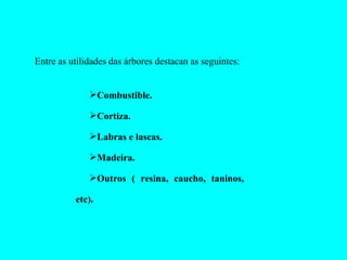 Entre as utilidades das árbores destacan as seguintes:  Combustible. Cortiza. Labras e lascas. Madeira. Outros ( resina, caucho, taninos, etc). 