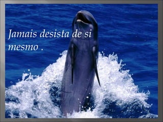 Jamais desista de si mesmo . 