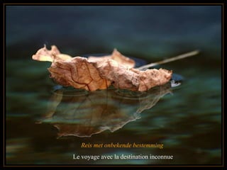 Reis met onbekende bestemming  Le voyage avec la destination   inconnue 