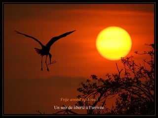 Vrije avond op komst Un soir de liberté à l’arrivée 