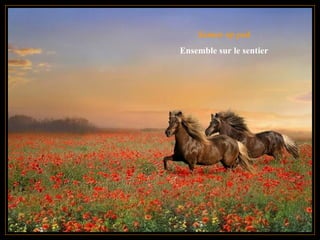 Samen op pad Ensemble sur le sentier 