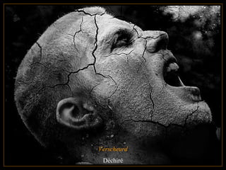 Verscheurd Déchiré 