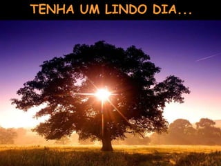 TENHA UM LINDO DIA... 