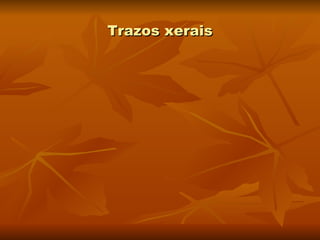 Trazos xerais 
