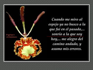 Cuando me miro al espejo ya no busco a la que fui en el pasado,... sonrío a la que soy hoy,... me alegro del camino andado, y asumo mis errores.  