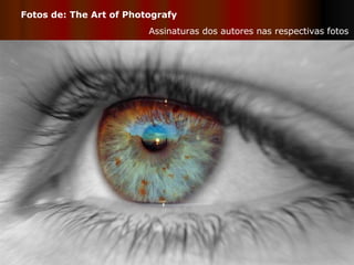 Fotos de: The Art of Photografy Assinaturas dos autores nas respectivas fotos 