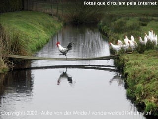 Fotos que circulam pela Internet 