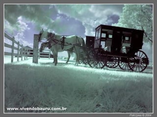www.vivendobauru.com.br 