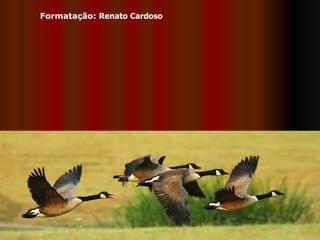 Formatação:  Renato Cardoso 