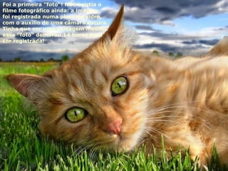 Foi a primeira "foto"! Não existia o  filme fotográfico ainda: a imagem  foi registrada numa placa de vidro, com o auxílio de uma câmara escura.  Tinha que ser uma paisagem mesmo:  essa "foto" demorou 14 horas para  ser registrada! 