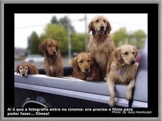 Aí é que a fotografia entra no cinema: era preciso o filme para  poder fazer... filmes! 