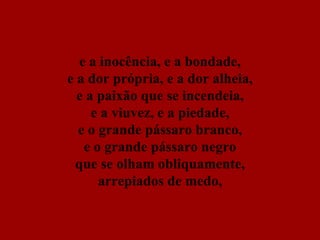 e a inocência, e a bondade, e a dor própria, e a dor alheia, e a paixão que se incendeia, e a viuvez, e a piedade, e o grande pássaro branco, e o grande pássaro negro que se olham obliquamente, arrepiados de medo, 