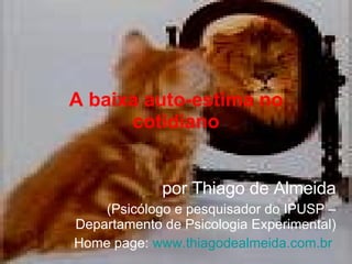 A baixa auto-estima no cotidiano por Thiago de Almeida (Psicólogo e pesquisador do IPUSP – Departamento de Psicologia Experimental) Home page:  www.thiagodealmeida.com.br   