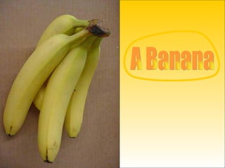 A Banana 