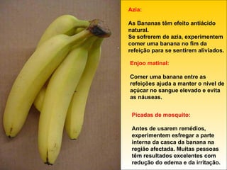 Azia: As Bananas têm efeito antiácido natural. Se sofrerem de azia, experimentem comer uma banana no fim da refeição para se sentirem aliviados. Enjoo matinal: Comer uma banana entre as refeições ajuda a manter o nível de açúcar no sangue elevado e evita as náuseas. Picadas de mosquito: Antes de usarem remédios, experimentem esfregar a parte interna da casca da banana na região afectada. Muitas pessoas têm resultados excelentes com redução do edema e da irritação. 