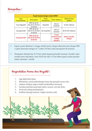 11
Pemupukan :
Pengendalian Hama dan Penyakit :
•	 Pupuk susulan diberikan 2 minggu setelah tanam, dengan dikocorkan bisa dengan NPK
½ gelas diencerkan dengan air 1 ember (10 liter) untuk pemupukan 40 tanaman.
•	 Pemupukan diulangi tiap 10-14 hari sekali tergantung kondisi tanaman. Semakin subur
semakin lama intervalnya. Umur 50-65 hari dan 115 hari diberi pupuk susulan granular
(sebar) sebanyak 1 sendok.
1.	 Jaga kebersihan lahan,
2.	 Monitoring / amati perkembangan hama dan penyakit secara rutin,
3.	 Lakukan tindakan segera setelah teridentifikasi terserang
4.	 Gunakan pestisida yang tepat waktu, sasaran, cara dan dosis,
5.	 Amati dan ulangi penyemprotan,
6.	 Eradikasi (buang) tanaman / bagian tanaman sakit
 