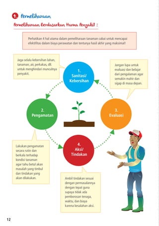 4.
Aksi/
Tindakan
2.
Pengamatan
3.
Evaluasi
12
Pemeliharaan Berdasarkan Hama Penyakit :
Perhatikan 4 hal utama dalam pemeliharaan tanaman cabai untuk mencapai
efektifitas dalam biaya perawatan dan tentunya hasil akhir yang maksimal!
Jaga selalu kebersihan lahan,
tanaman, air, perkakas, dll.
untuk menghindari munculnya
penyakit.
Lakukan pengamatan
secara rutin dan
berkala terhadap
kondisi tanaman
agar tahu betul akan
masalah yang timbul
dan tindakan yang
akan dilakukan. Ambil tindakan sesuai
dengan permasalannya
dengan tepat guna
supaya tidak ada
pemborosan tenaga,
waktu, dan biaya
karena kesalahan aksi.
Jangan lupa untuk
evaluasi dan belajar
dari pengalaman agar
semakin mahir dan
sigap di masa depan.
1.
Sanitasi/
Kebersihan
4. Pemeliharaan
 