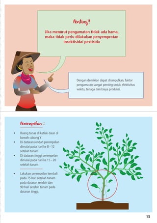 Penting!!
Jika menurut pengamatan tidak ada hama,
maka tidak perlu dilakukan penyemprotan
insektisida/ pestisida
Dengan demikian dapat disimpulkan, faktor
pengamatan sangat penting untuk efektivitas
waktu, tenaga dan biaya produksi.
13
Perempelan :
•	 Buang tunas di ketiak daun di
bawah cabang Y
•	 Di dataran rendah perempelan
dimulai pada hari ke 8 - 12
setelah tanam
•	 Di dataran tinggi perempelan
dimulai pada hari ke 15 - 20
setelah tanam
•	 Lakukan perempelan kembali
pada 75 hari setelah tanam
pada dataran rendah dan
90 hari setelah tanam pada
dataran tinggi.
 