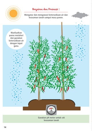 14
Pengairan dan Drainase :
Mengatur dan mengawasi ketersediaan air dan
keasaman tanah sampai masa panen.
Gunakan pH meter untuk cek
keasaman tanah
Manfaatkan
panas matahari
dan gunakan
ketersediaan air
dengan tepat
guna.
 