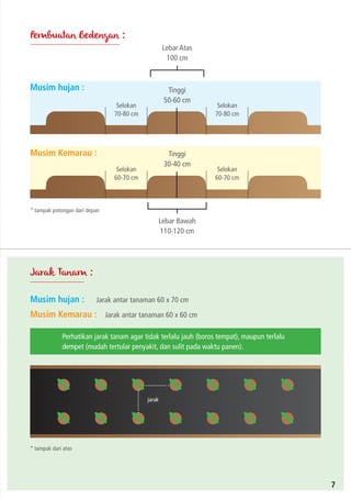 Pembuatan Bedengan :
Musim hujan :
Musim Kemarau :
Jarak antar tanaman 60 x 70 cm
Perhatikan jarak tanam agar tidak terlalu jauh (boros tempat), maupun terlalu
dempet (mudah tertular penyakit, dan sulit pada waktu panen).
Jarak antar tanaman 60 x 60 cm
* tampak dari atas
Musim hujan :
Musim Kemarau :
Lebar Bawah
110-120 cm
Lebar Atas
100 cm
* tampak potongan dari depan
Tinggi
50-60 cm
Tinggi
30-40 cm
Selokan
70-80 cm
Selokan
60-70 cm
Selokan
70-80 cm
Selokan
60-70 cm
Jarak Tanam :
jarak
7
 