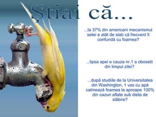 Ştiai că... ... la  37% d in americani mecanismul setei e atât de slab că frecvent îl confundă cu foamea ? ... lipsa apei e cauza nr. 1   a  oboselii din timpul zilei ? ... după studiile de la  Universi tatea din  Washington, 1 vas  cu apă calmează foamea la aproape  100%  din cazuri aflate sub dieta de slăbi re ? 