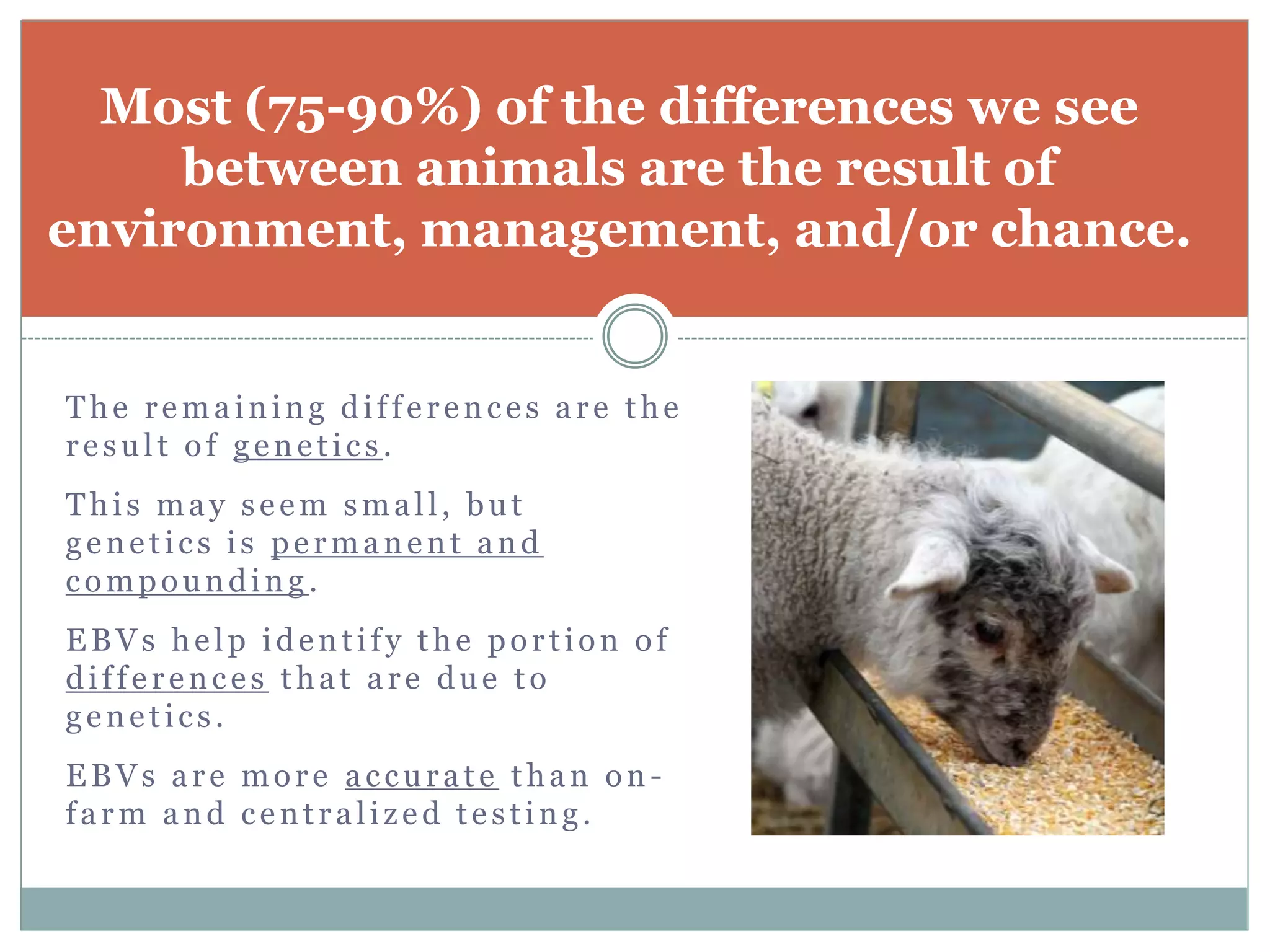 Most (75-90%) of the differences we see
between animals are the result of
environment, management, and/or chance.
The remaining differences are the
result of genetics.
This may seem small, but
genetics is permanent and
compounding .
EBVs help identify the portion of
differences that are due to
genetics.
EBVs are more accurate than on-
farm and centralized testing.
 