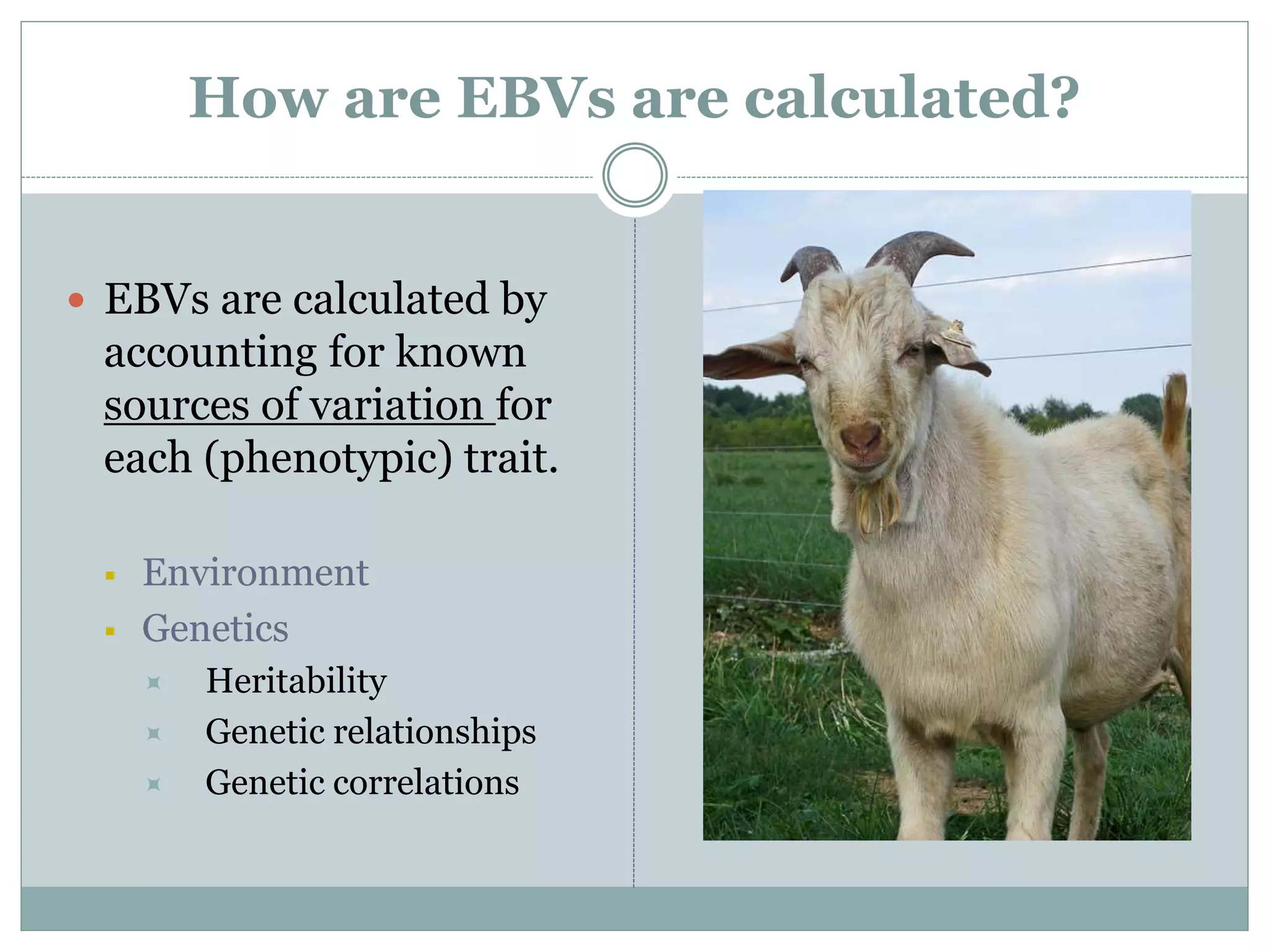 How are EBVs are calculated?
 EBVs are calculated by
accounting for known
sources of variation for
each (phenotypic) trait.
 Environment
 Genetics
 Heritability
 Genetic relationships
 Genetic correlations
 