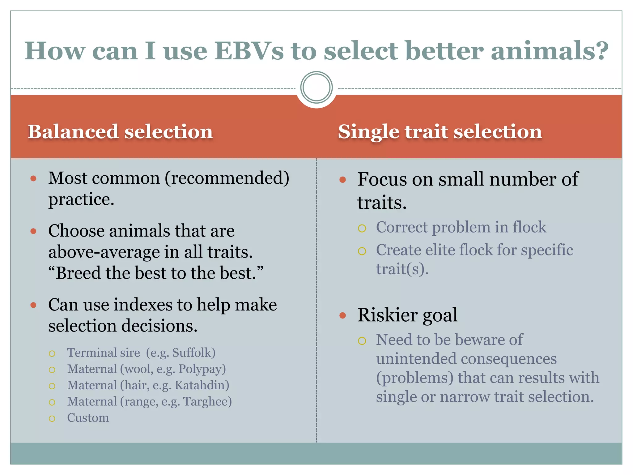 Balanced selection Single trait selection
 Most common (recommended)
practice.
 Choose animals that are
above-average in all traits.
“Breed the best to the best.”
 Can use indexes to help make
selection decisions.
 Terminal sire (e.g. Suffolk)
 Maternal (wool, e.g. Polypay)
 Maternal (hair, e.g. Katahdin)
 Maternal (range, e.g. Targhee)
 Custom
 Focus on small number of
traits.
 Correct problem in flock
 Create elite flock for specific
trait(s).
 Riskier goal
 Need to be beware of
unintended consequences
(problems) that can results with
single or narrow trait selection.
How can I use EBVs to select better animals?
 