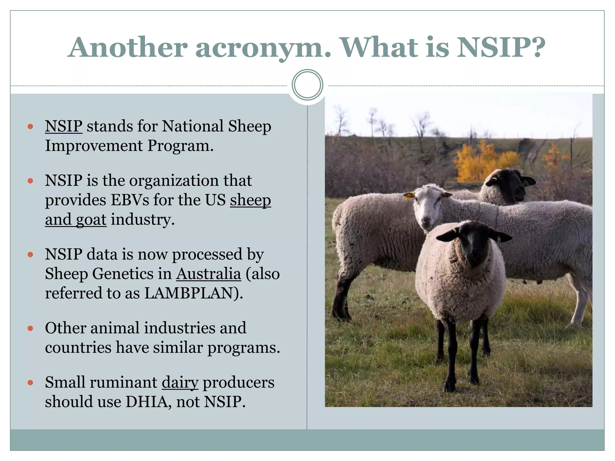 Another acronym. What is NSIP?
 NSIP stands for National Sheep
Improvement Program.
 NSIP is the organization that
provides EBVs for the US sheep
and goat industry.
 NSIP data is now processed by
Sheep Genetics in Australia (also
referred to as LAMBPLAN).
 Other animal industries and
countries have similar programs.
 Small ruminant dairy producers
should use DHIA, not NSIP.
 