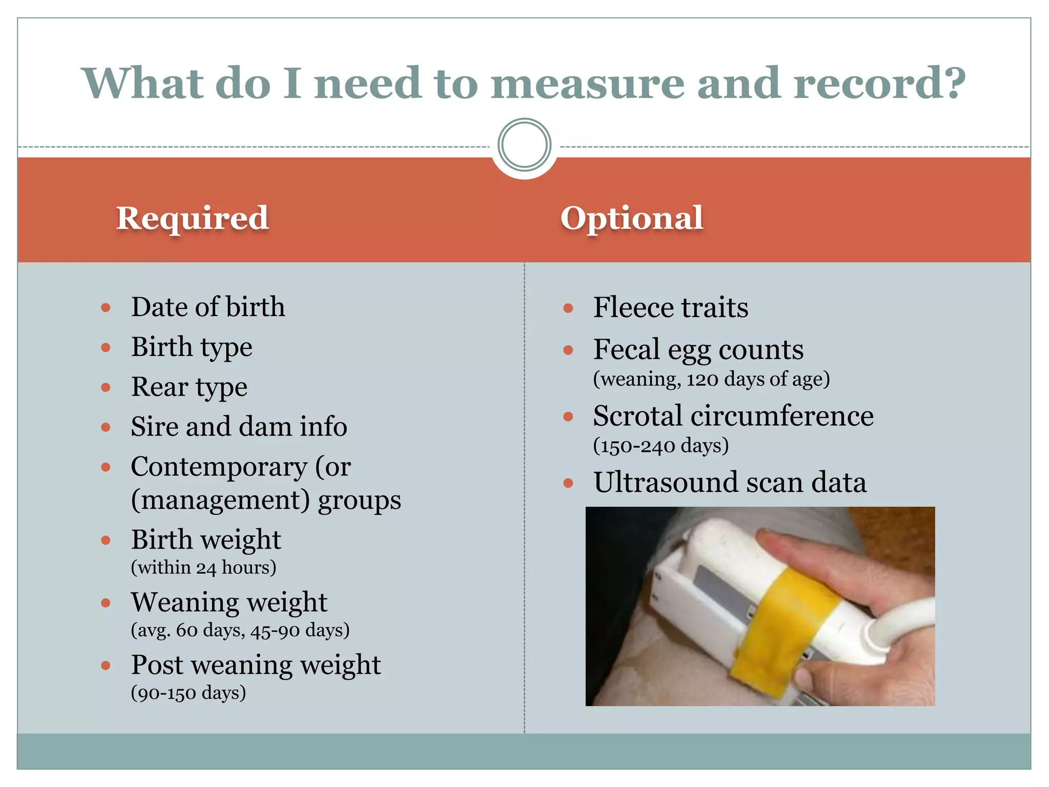 Required Optional
 Date of birth
 Birth type
 Rear type
 Sire and dam info
 Contemporary (or
(management) groups
 Birth weight
(within 24 hours)
 Weaning weight
(avg. 60 days, 45-90 days)
 Post weaning weight
(90-150 days)
 Fleece traits
 Fecal egg counts
(weaning, 120 days of age)
 Scrotal circumference
(150-240 days)
 Ultrasound scan data
What do I need to measure and record?
 