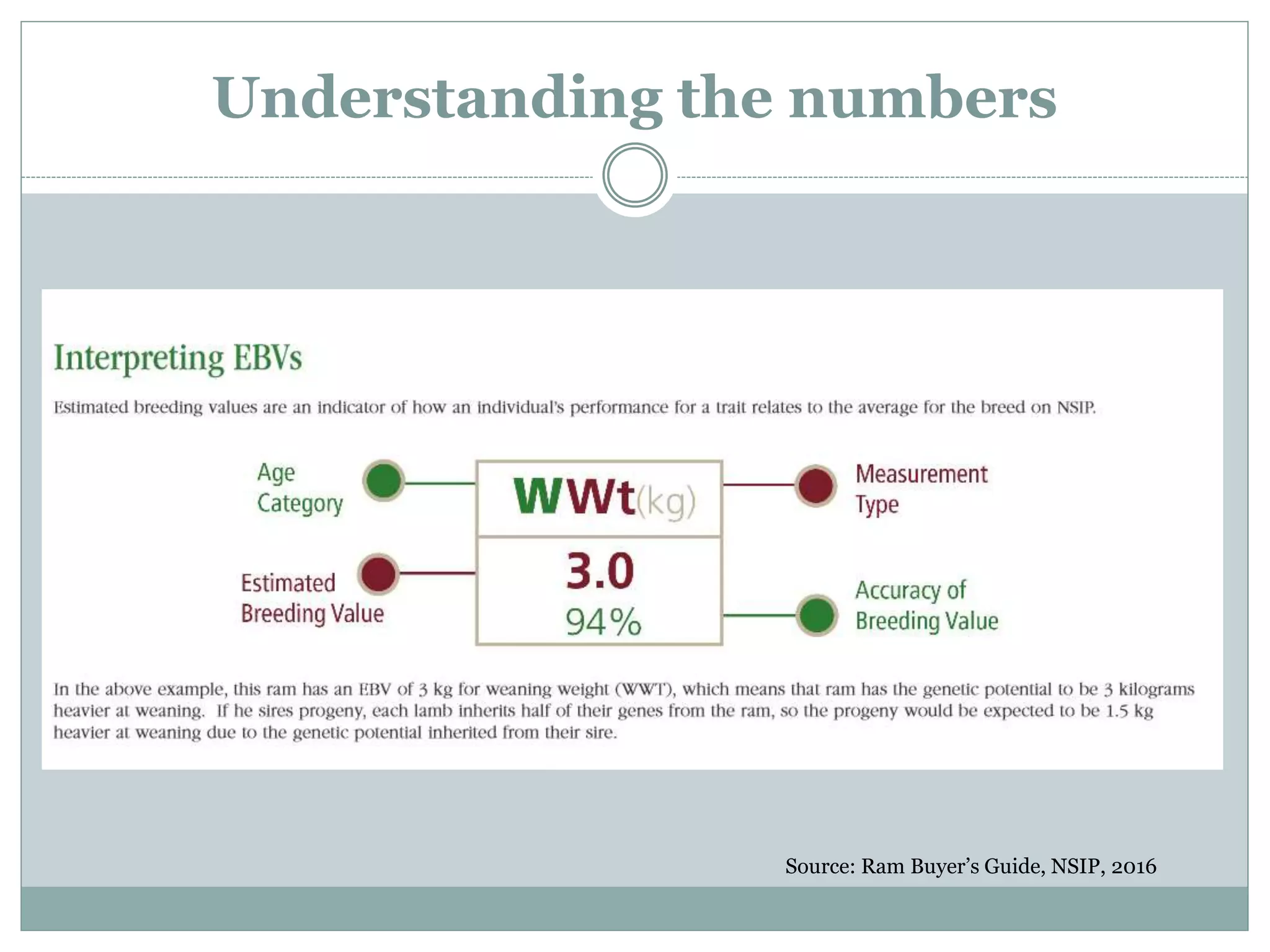 Understanding the numbers
Source: Ram Buyer’s Guide, NSIP, 2016
 