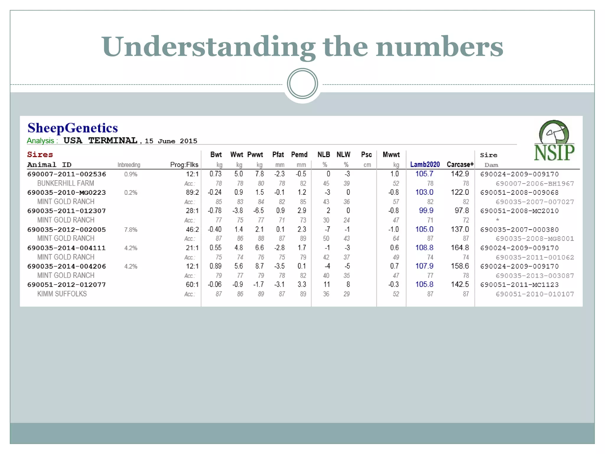 Understanding the numbers
 