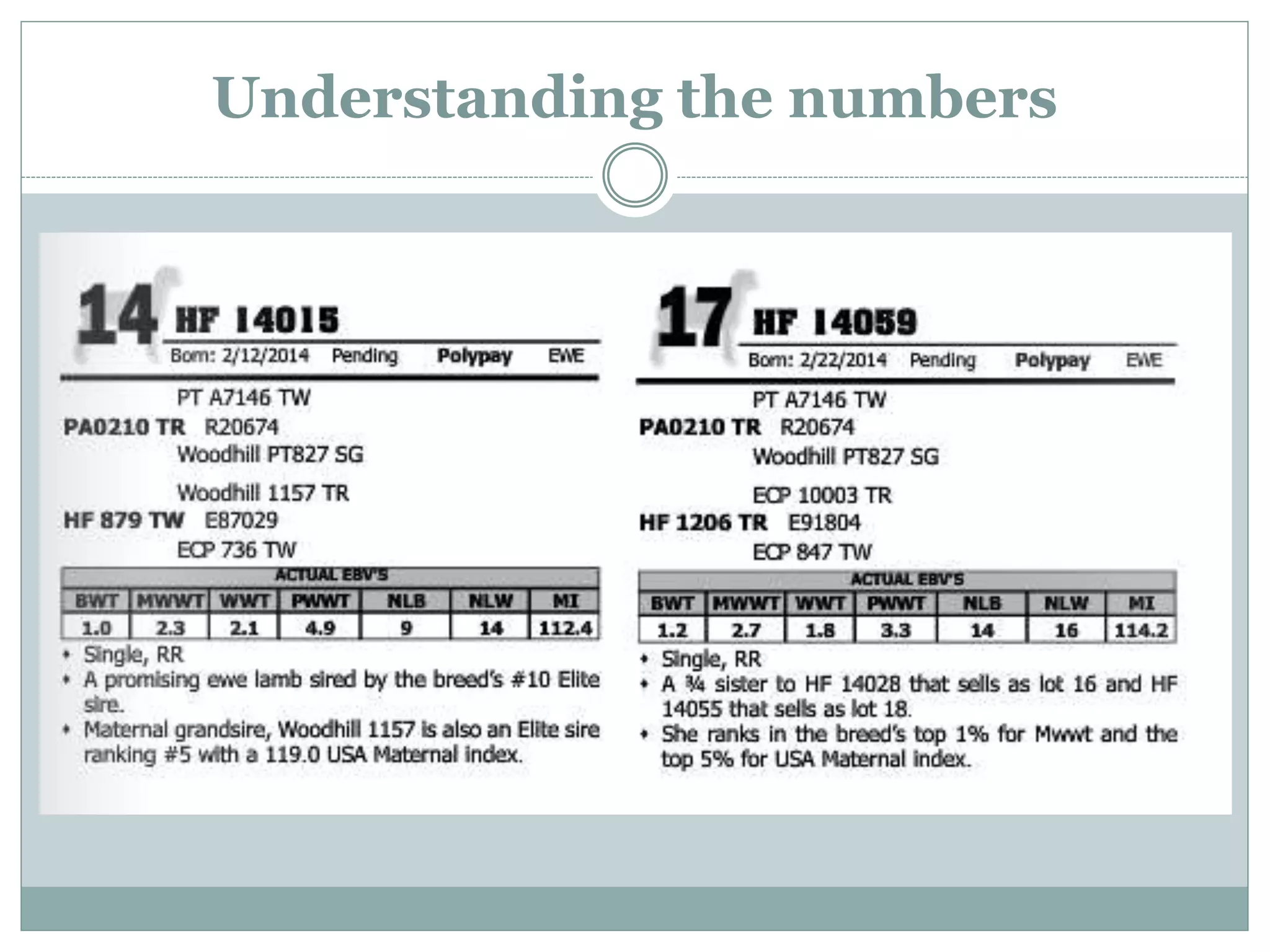Understanding the numbers
 
