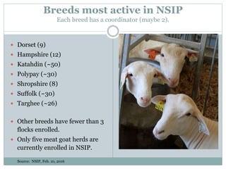 Breeds most active in NSIP
Each breed has a coordinator (maybe 2).
 Dorset (9)
 Hampshire (12)
 Katahdin (~50)
 Polypay (~30)
 Shropshire (8)
 Suffolk (~30)
 Targhee (~26)
 Other breeds have fewer than 3
flocks enrolled.
 Only five meat goat herds are
currently enrolled in NSIP.
Source: NSIP, Feb. 10, 2016
 