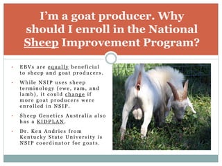 • E B V s a r e e q u a l l y b e n e f i c i a l
t o s h e e p a n d g o a t p r o d u c e r s .
• W h i l e N S I P u s e s s h e e p
t e r m i n o l o g y ( e w e , r a m , a n d
l a m b ) , i t c o u l d c h a n g e i f
m o r e g o a t p r o d u c e r s w e r e
e n r o l l e d i n N S I P .
• S h e e p G e n e t i c s A u s t r a l i a a l s o
h a s a K I D P L A N .
• D r . K e n A n d r i e s f r o m
K e n t u c k y S t a t e U n i v e r s i t y i s
N S I P c o o r d i n a t o r f o r g o a t s .
I’m a goat producer. Why
should I enroll in the National
Sheep Improvement Program?
 