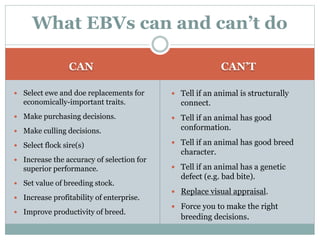 CAN CAN’T
 Select ewe and doe replacements for
economically-important traits.
 Make purchasing decisions.
 Make culling decisions.
 Select flock sire(s)
 Increase the accuracy of selection for
superior performance.
 Set value of breeding stock.
 Increase profitability of enterprise.
 Improve productivity of breed.
 Tell if an animal is structurally
connect.
 Tell if an animal has good
conformation.
 Tell if an animal has good breed
character.
 Tell if an animal has a genetic
defect (e.g. bad bite).
 Replace visual appraisal.
 Force you to make the right
breeding decisions.
What EBVs can and can’t do
 