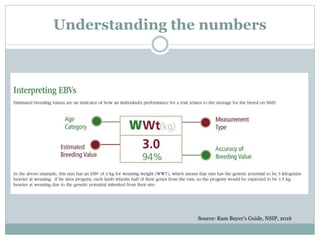 Understanding the numbers
Source: Ram Buyer’s Guide, NSIP, 2016
 