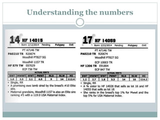 Understanding the numbers
 